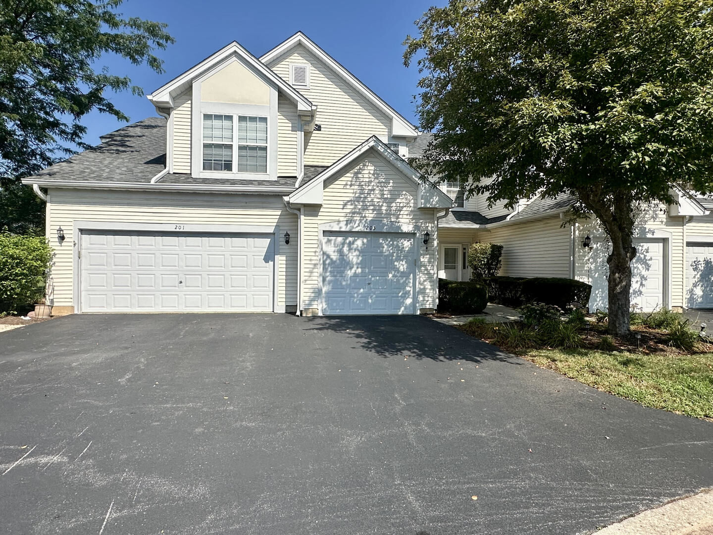Property Photo:  203 Canterbury Court  IL 60543 