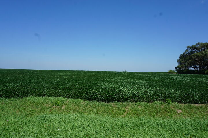 Property Photo: