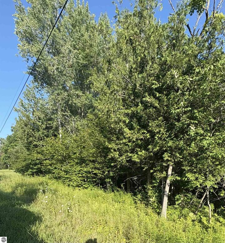 Property Photo: 0 N Pioneer Road N Pioneer MI 49617