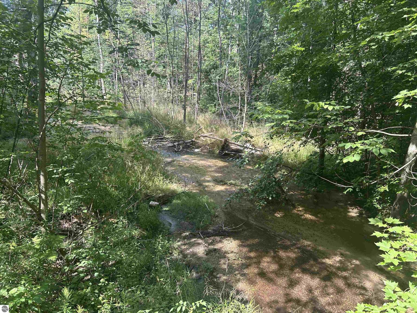 Property Photo:  Parcel 2 S M-88  MI 49615 