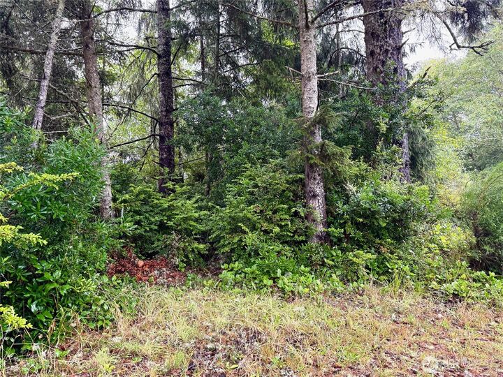 Property Photo:  815  Scaup Court SE  WA 98569 