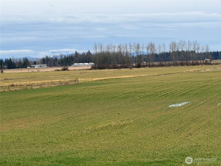 1429 W Badger  Custer WA 98240 photo