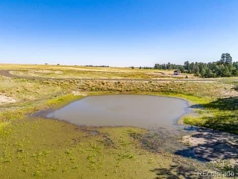 Property Photo:  32147 Waylongood Point  CO 80117 