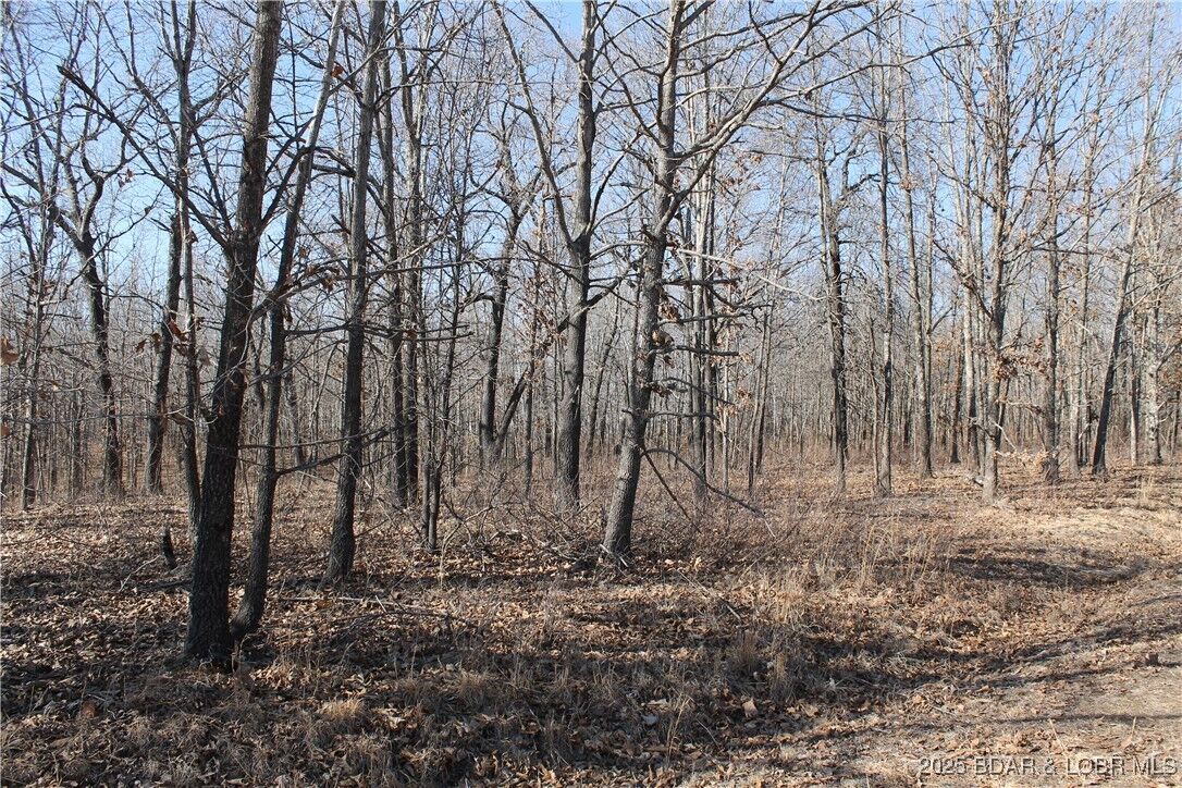 Property Photo: Bowden Place 1471 MO 65326