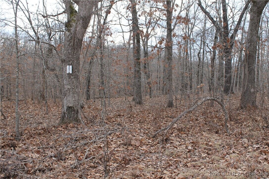 Property Photo: Ferro Lane 2016 MO 65326
