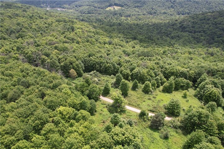 0 Held #13 Greenbush Road  Erin NY 14838 photo