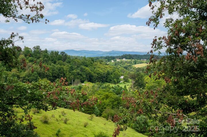 28 Trinity Hills Drive  Weaverville NC 28787 photo