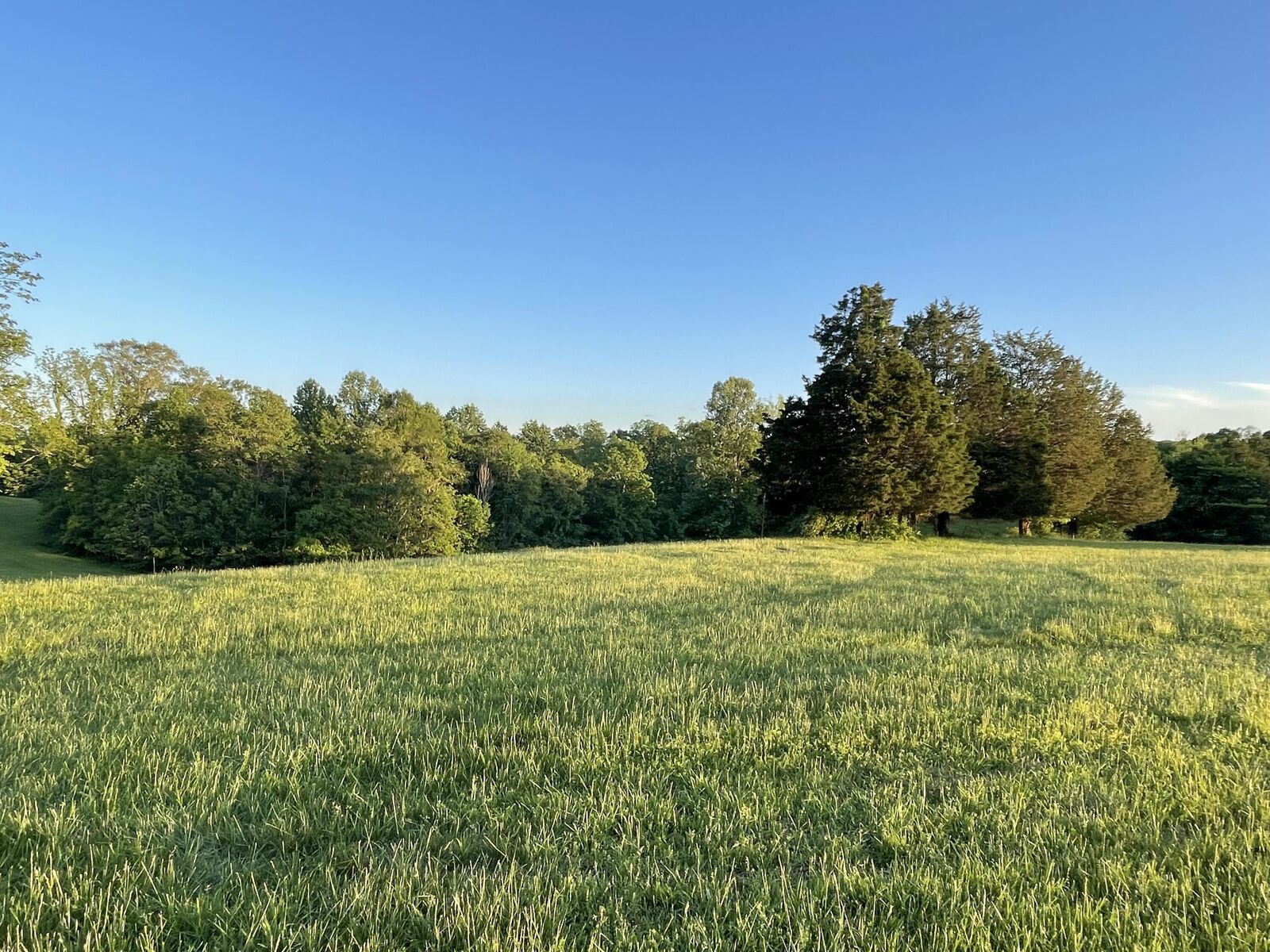 Property Photo:  Lot 23 Parks Ridge  KY 42642 