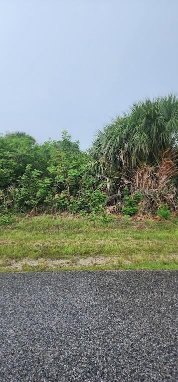 Property Photo:  8183 Clyde Circle  FL 33981 