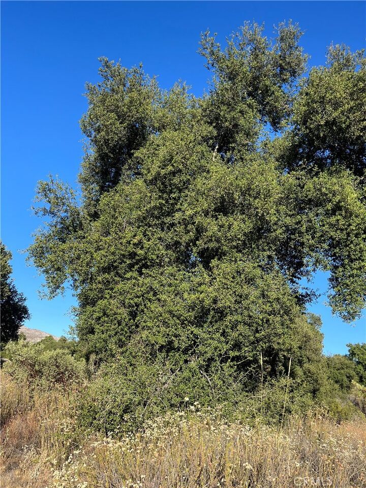 Property Photo: 35250 Willow Creek Road CA 92544