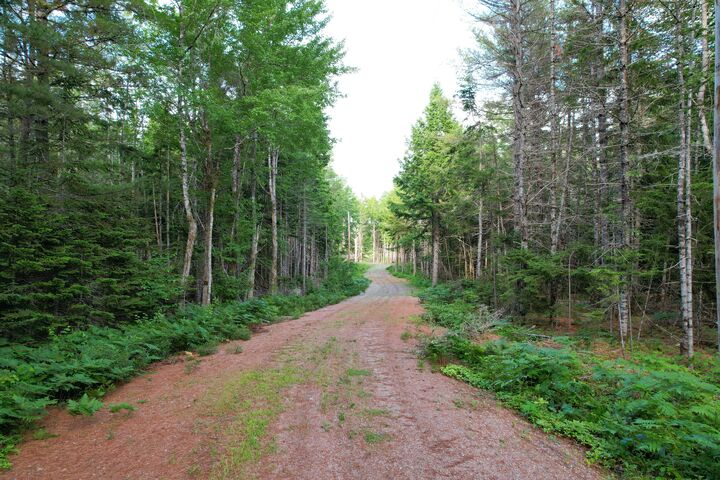 Property Photo: Lot 8 Peaceful Point Ext Road ME 04605