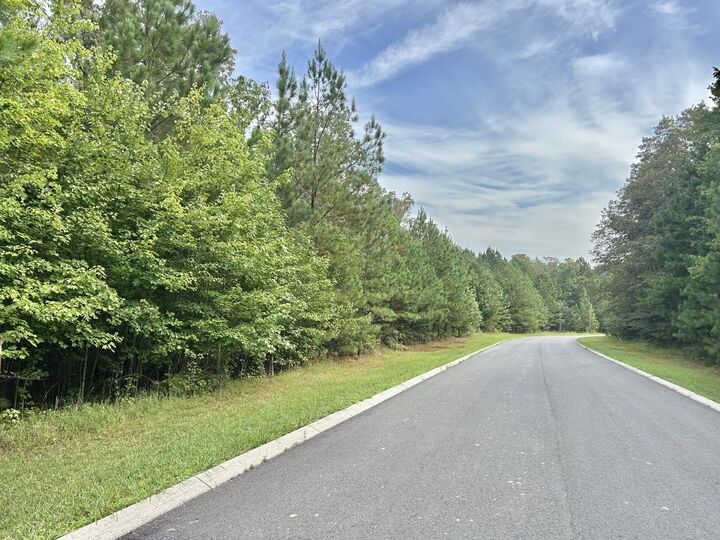 Property Photo: 0 Seminole Ln TN 37355