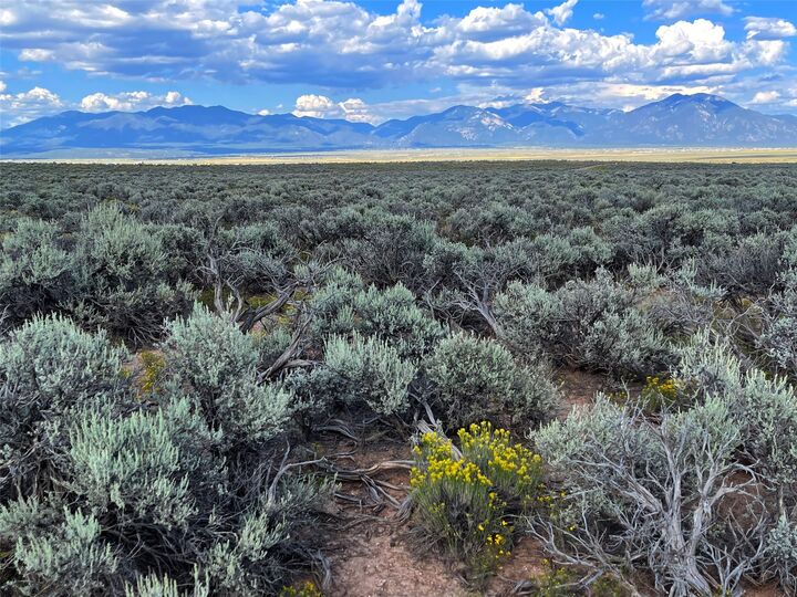 Property Photo:  Xx County Road Cb-115 & West Rim Road  NM 87517 