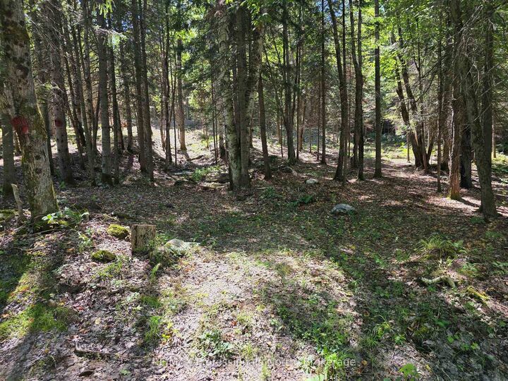 Property Photo:  00 Whitney Road  ON P0A 1R0 