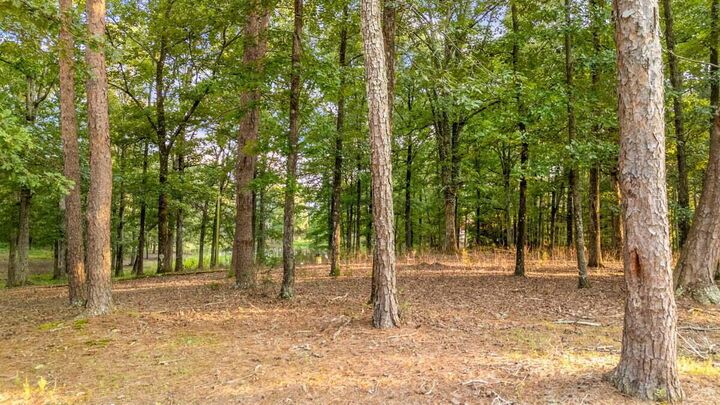 Property Photo: 237 Alvis Rd AL 35554