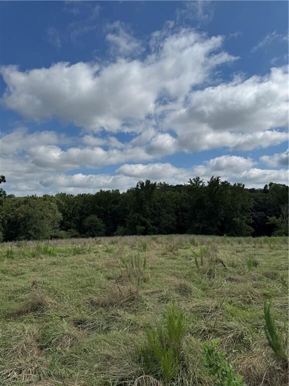 Property Photo:  0 Marlow Road  GA 30558 