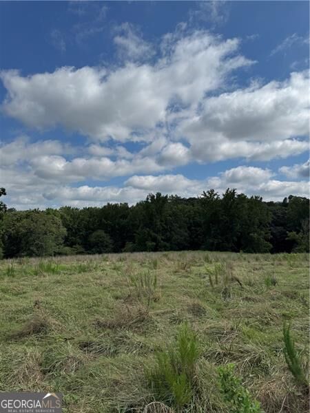 Property Photo: 0 Marlow Road GA 30558