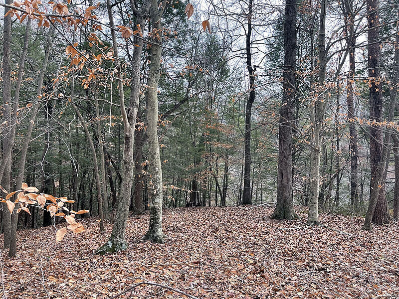 Property Photo:  Lot 189 Stillwater  KY 42642 