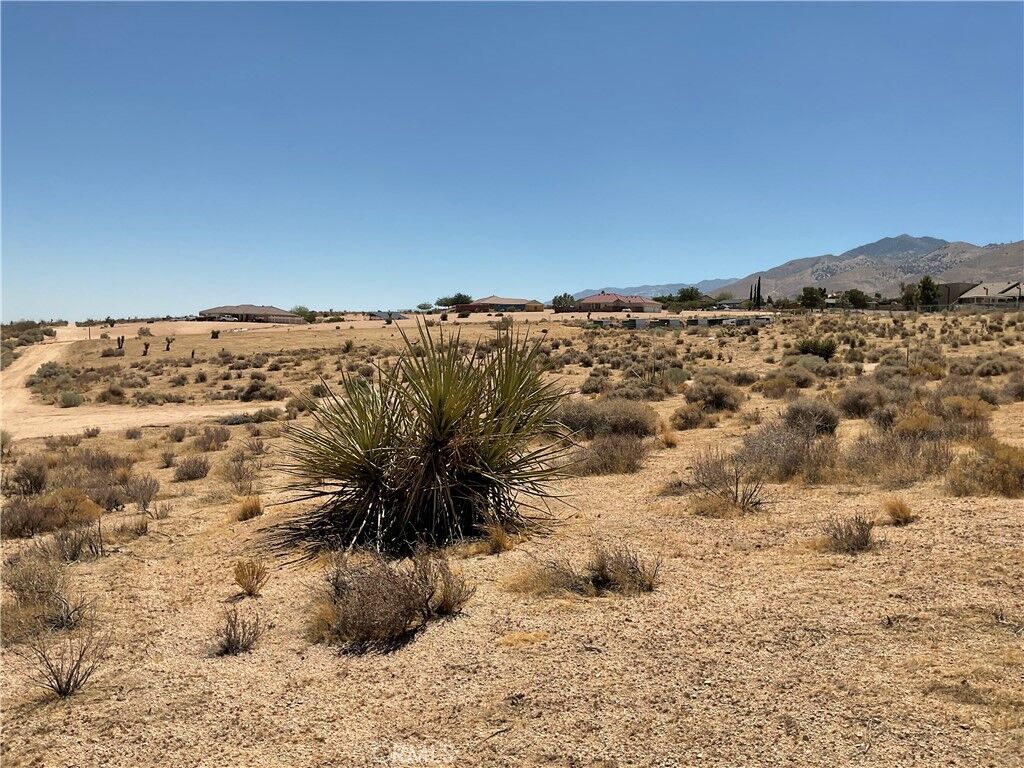 Property Photo: 7 Ocotillo Way CA 92308
