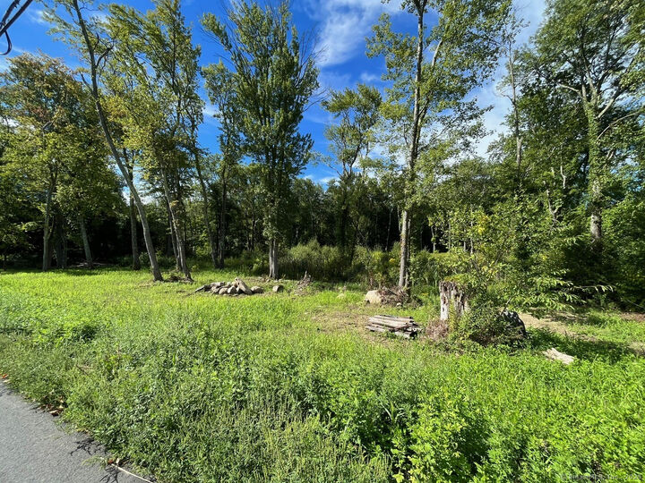 26 100 Acres Road  Newtown CT 06470 photo