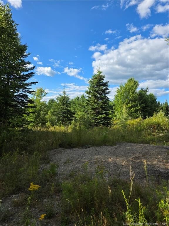 124 Greenhill Lake Road  Nackawic NB E6E 1E9 photo
