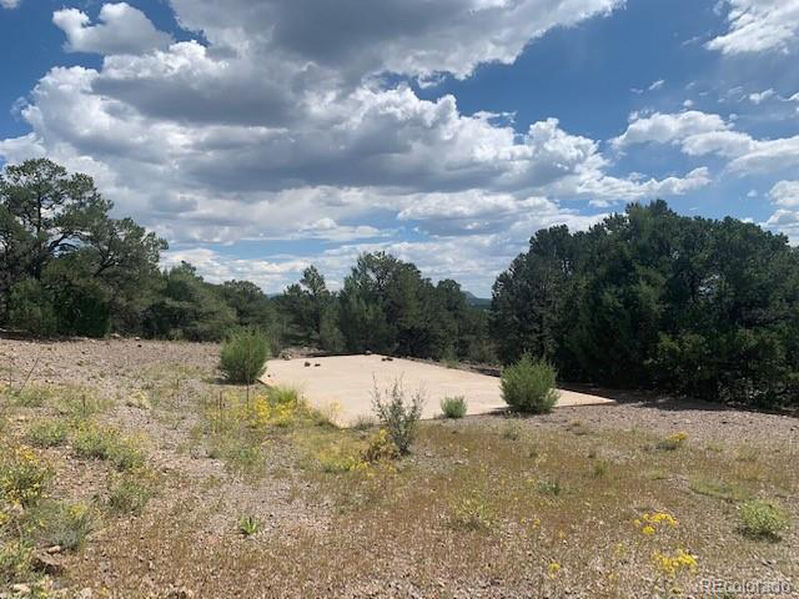 Property Photo:  188 Looters Ln  CO 81252 