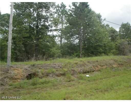 Property Photo: 549 Barth Road MS 39470