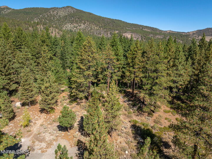Property Photo: 1350 Douglas Fir Drive NV 89511