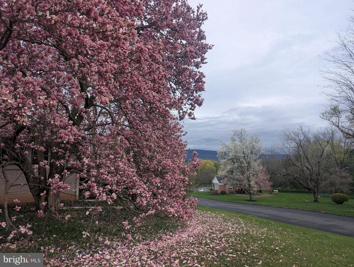 Property Photo: 9351 Oyer Court PA 17268