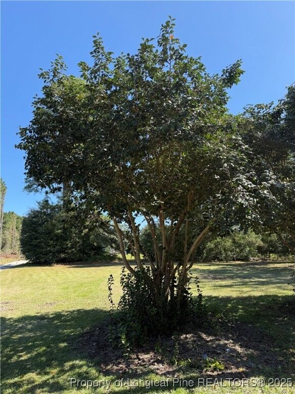 Property Photo:  274 Lawrence Brown Road  NC 28320 