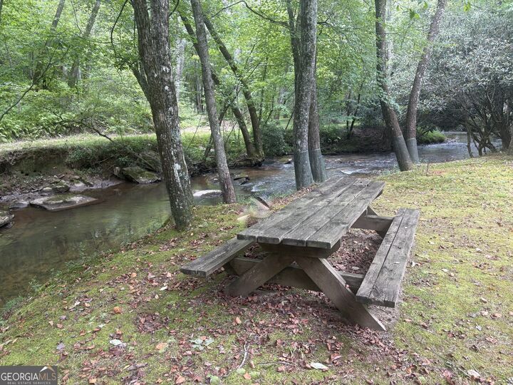 Property Photo:  141 Friendship Lane  GA 30559 