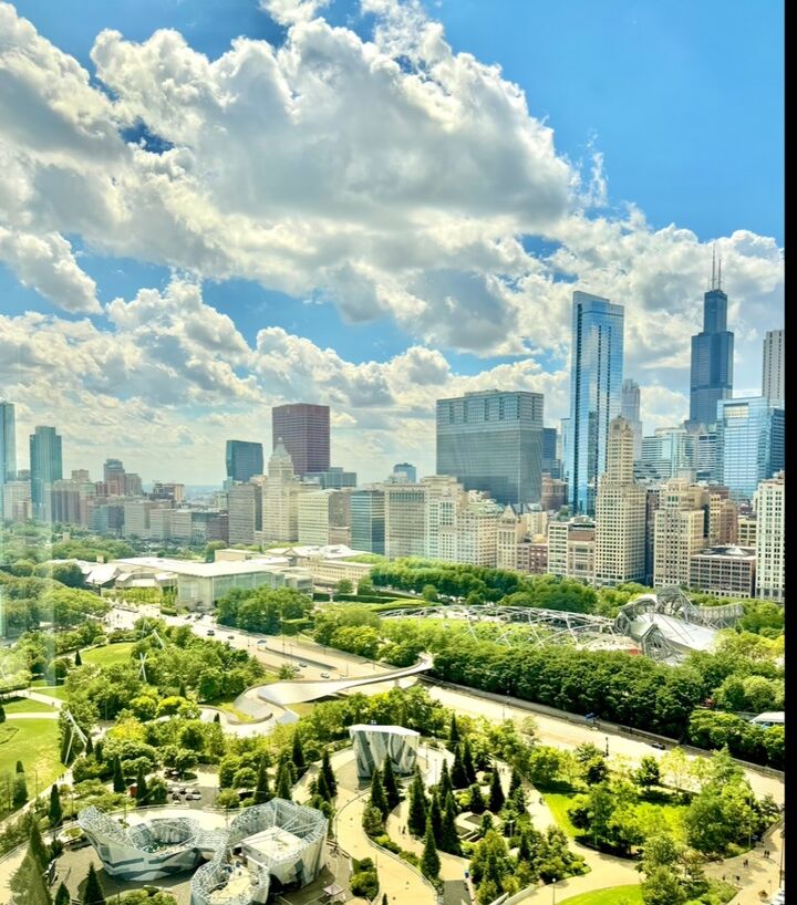 Property Photo:  60 E Monroe Street 5601  IL 60603