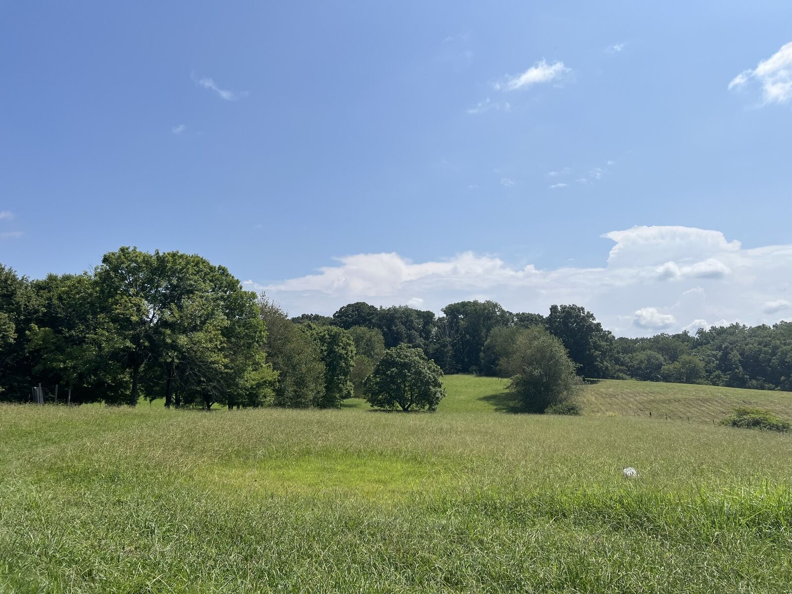 Property Photo:  3860 Saundersville Ferry Rd  TN 37122 