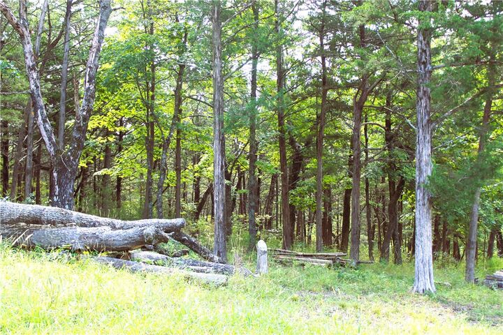 Property Photo: 10 Twin Peak Drive AR 72631