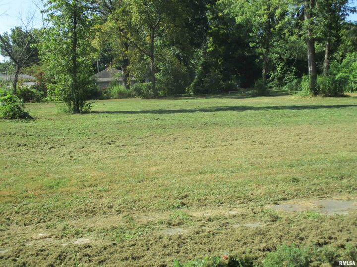 Property Photo:  0000 Buchanan Street  IL 62812 