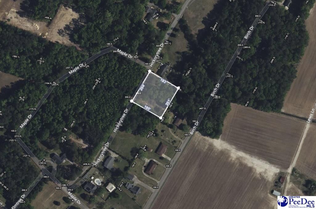 Property Photo: Tbd Hickorytree Dr. SC 29550-7401