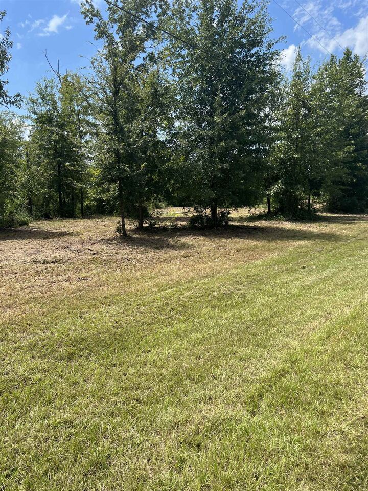 Property Photo: 160 Branchwood Dr. TX 77351