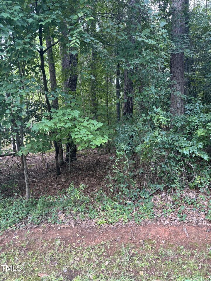 Property Photo: 116 Blackfoot Drive NC 27549
