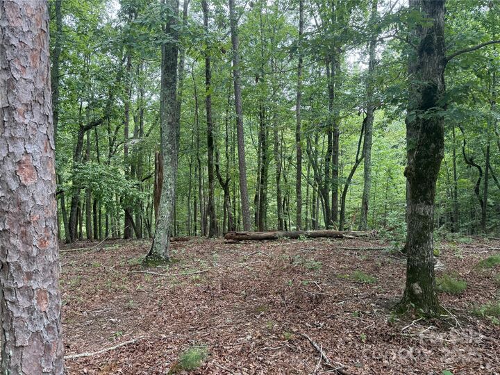 Property Photo: 1187 Grandview Peaks Drive 187 NC 28761