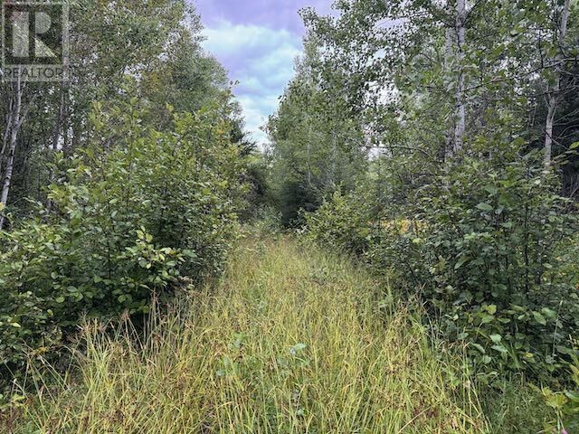 Property Photo:  Pin420900045&44 Hughes Creek Rd  ON P0V 2W0 