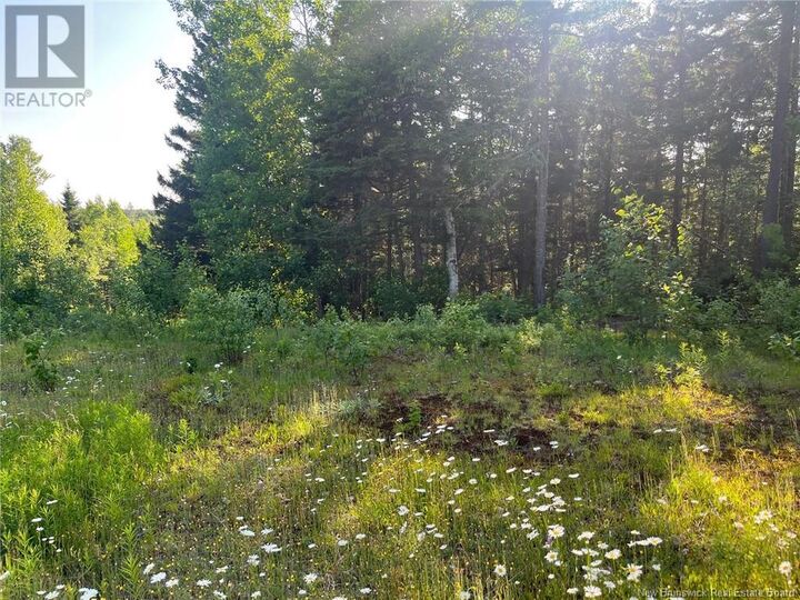 Property Photo:  70 Rue Jeanne D'Arc  NB E1X 2N4 