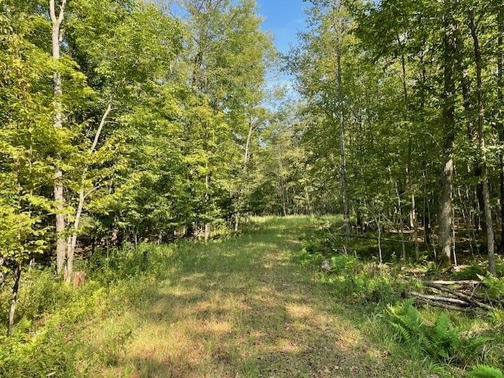 Property Photo: 36.72 Acres County Road J WI 54403