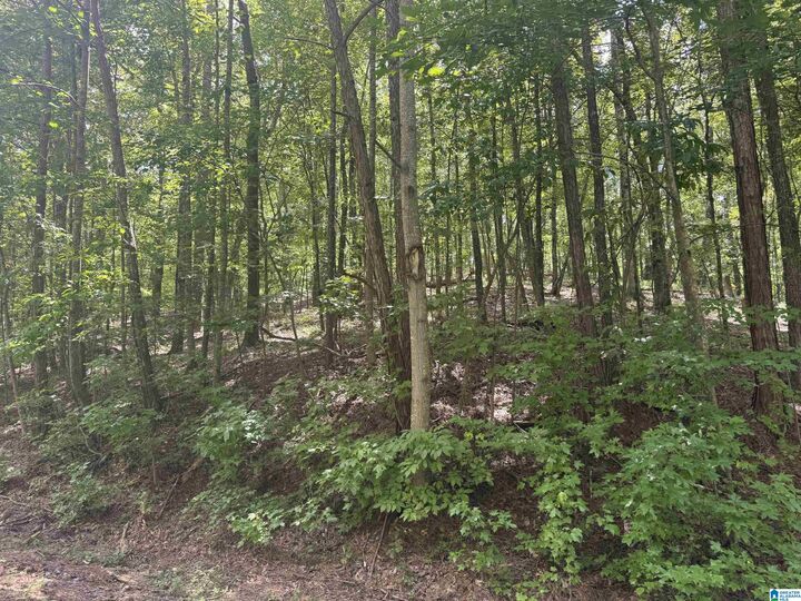 Property Photo: 85 Mohawk Court 22 AL 36271