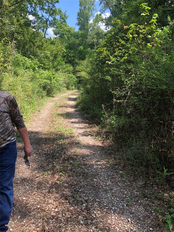 Property Photo: Tbd Block 02 Lot 12 TX 77302