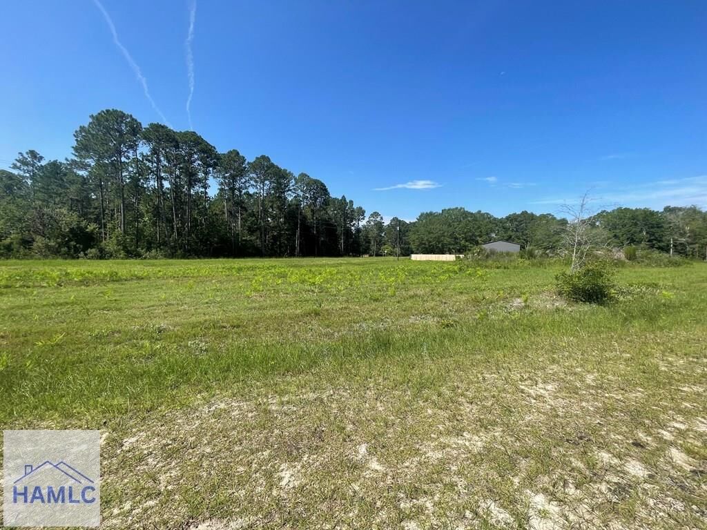 Property Photo:  Lot 1 Linden Bluff Road  GA 31545 
