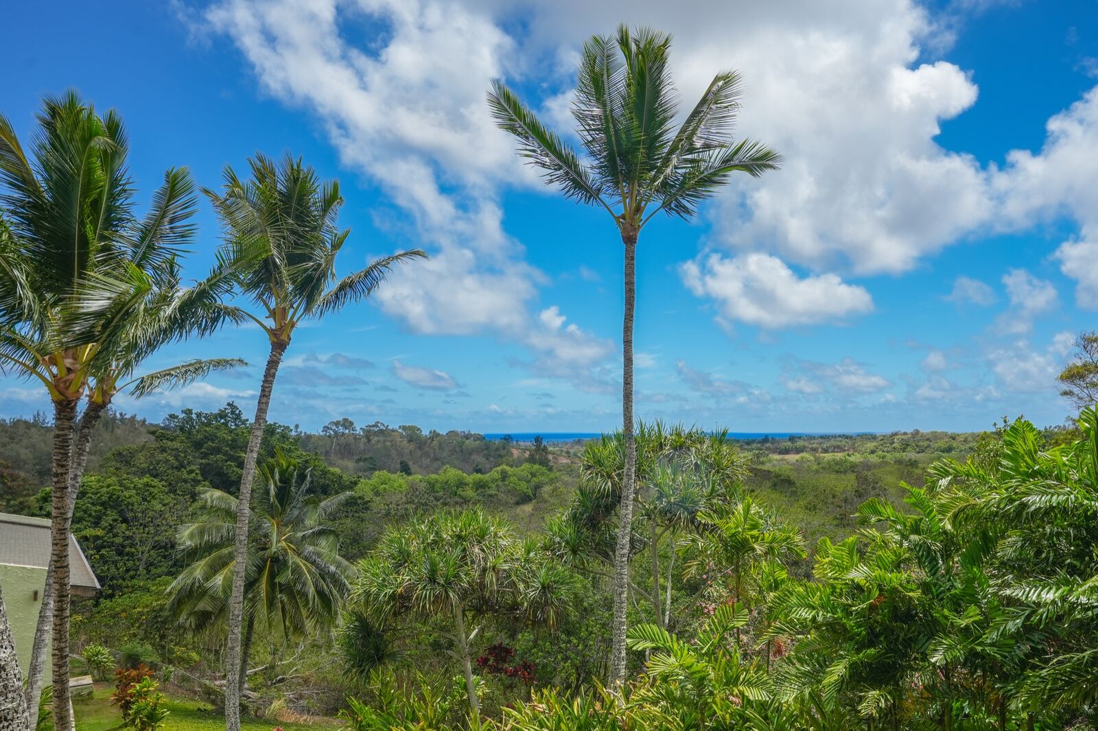 Property Photo: 3-3400 Kuhio Hwy A104 HI 96766