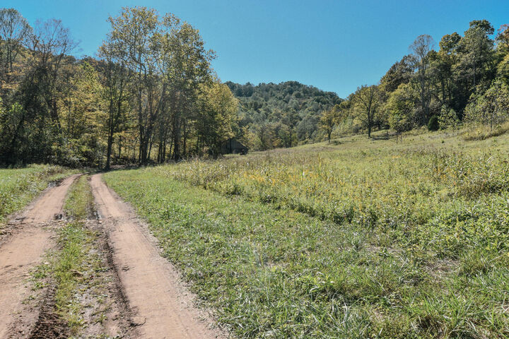 Property Photo:  0 E Esculapis Fork Road  KY 41179