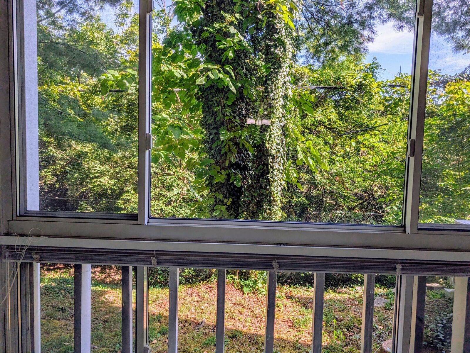 Property Photo:  395 Redding Road 159  KY 40517