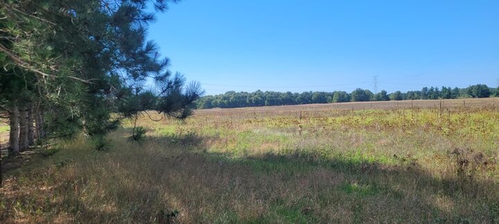 Property Photo:  N 88th Avenue  MI 49449 