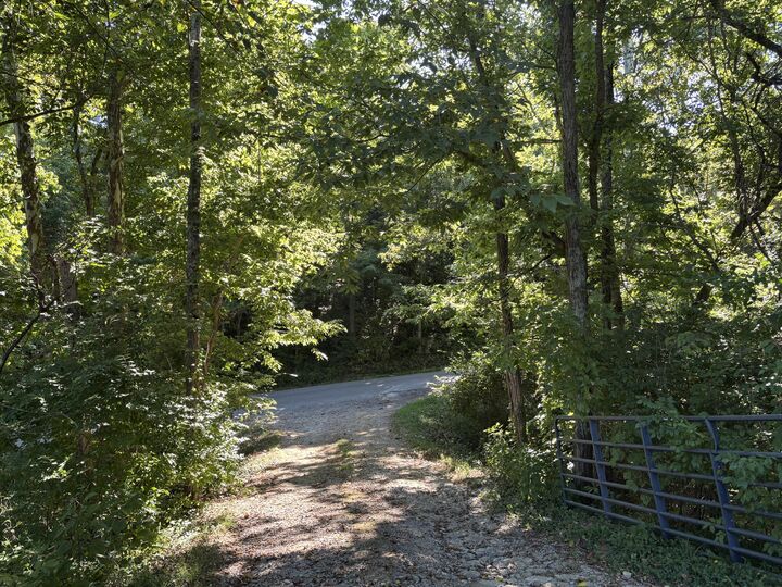 Property Photo: 0 Little Sugar Creek Road KY 41095